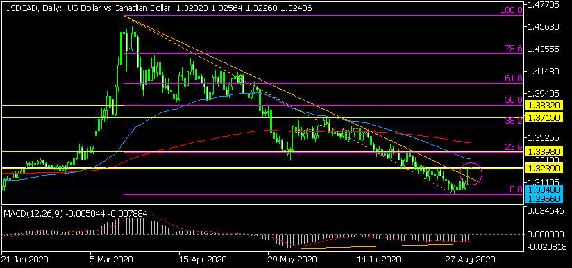 Дневна графика на USD/CAD